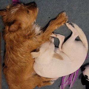 Meet your Posher, Lynn